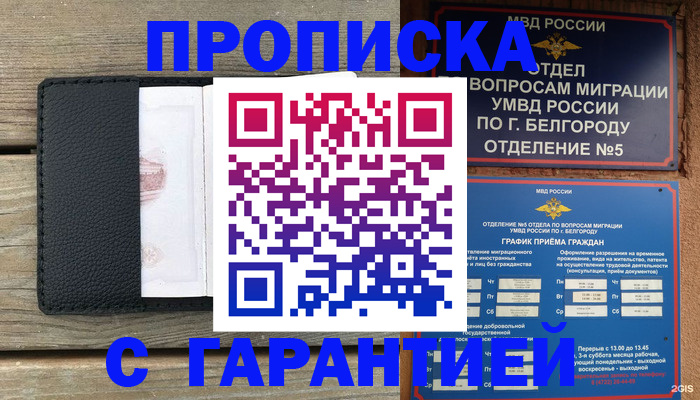 купить прописку в Владимирской области